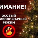 На территории Иркутской области с 29 декабря вводится особый противопожарный режим